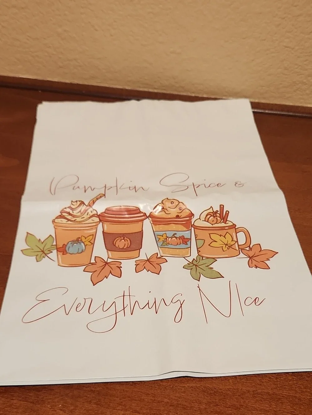 15 Polymailers 10x13 Pumpkin Spice Everything Nice